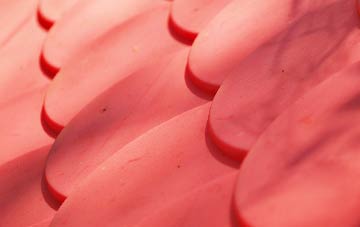 Brown Edge plastic roof costs